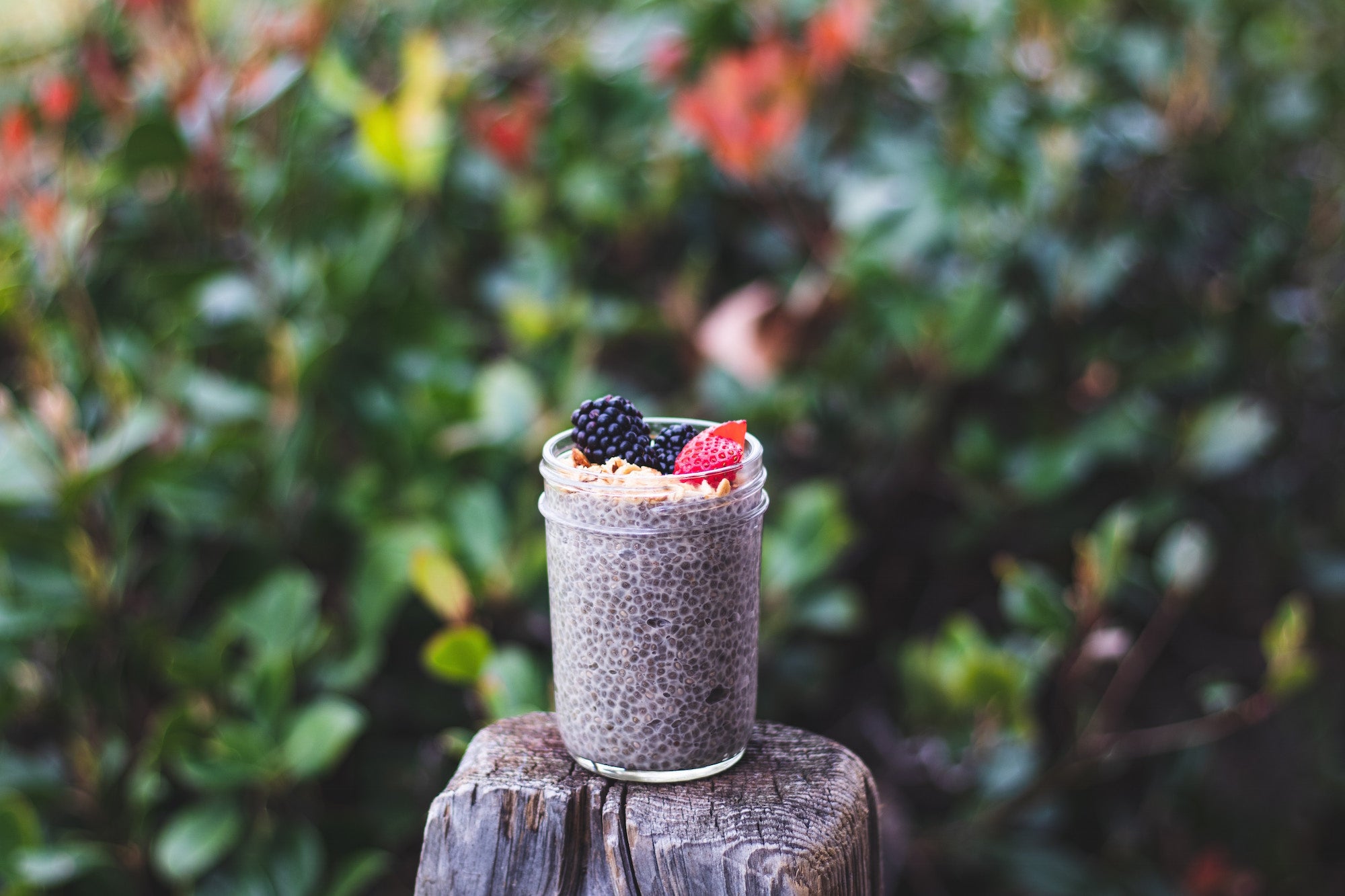 Chia pudding with organic bone broth
