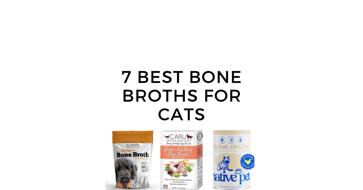 7 Best Bone Broth for Cats: Is Bone Broth Good for Cats?