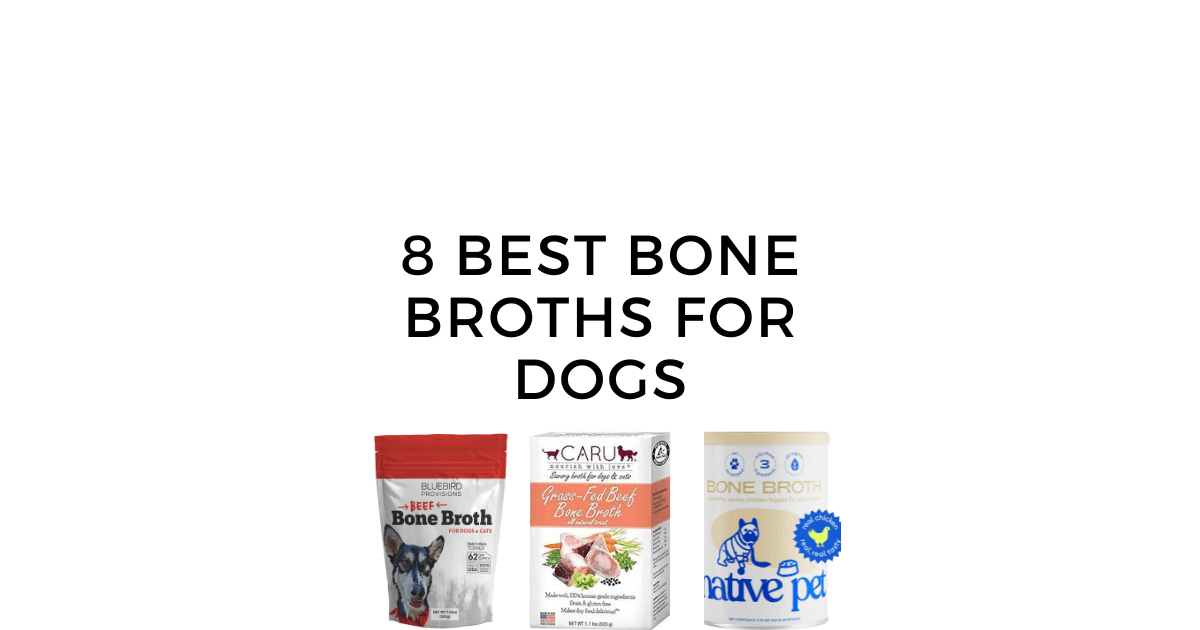 8 Best Bone Broths For Dogs in 2024 Dry and Wet