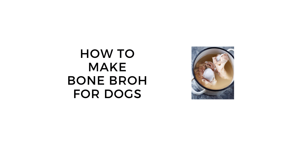Bone broth sales recipe for dogs