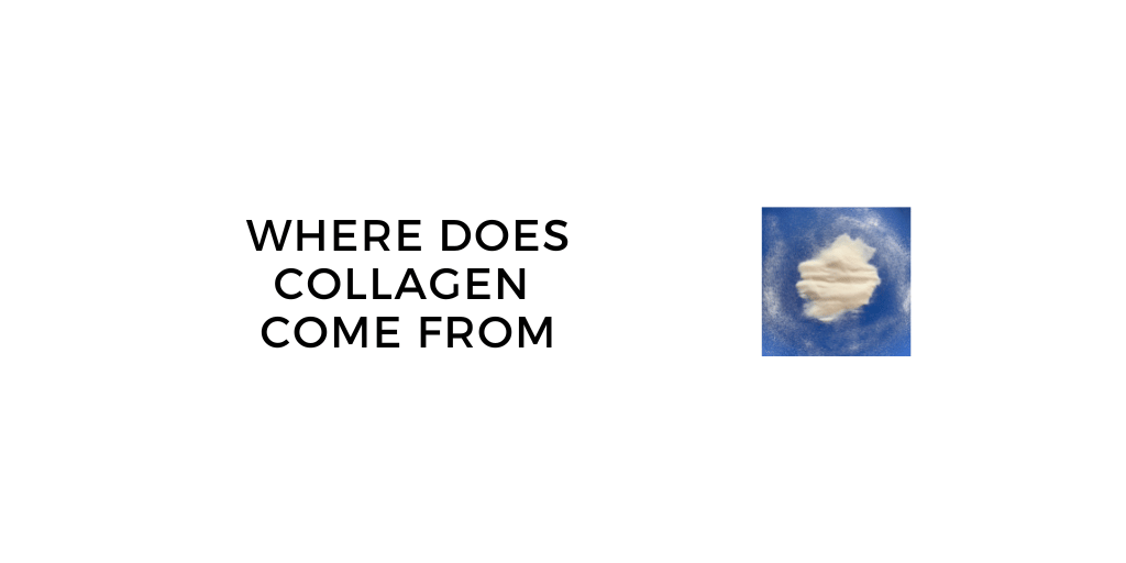 Where Does Collagen Come From? Sourcing, Manufacturing and Animal Welfare Concerns
