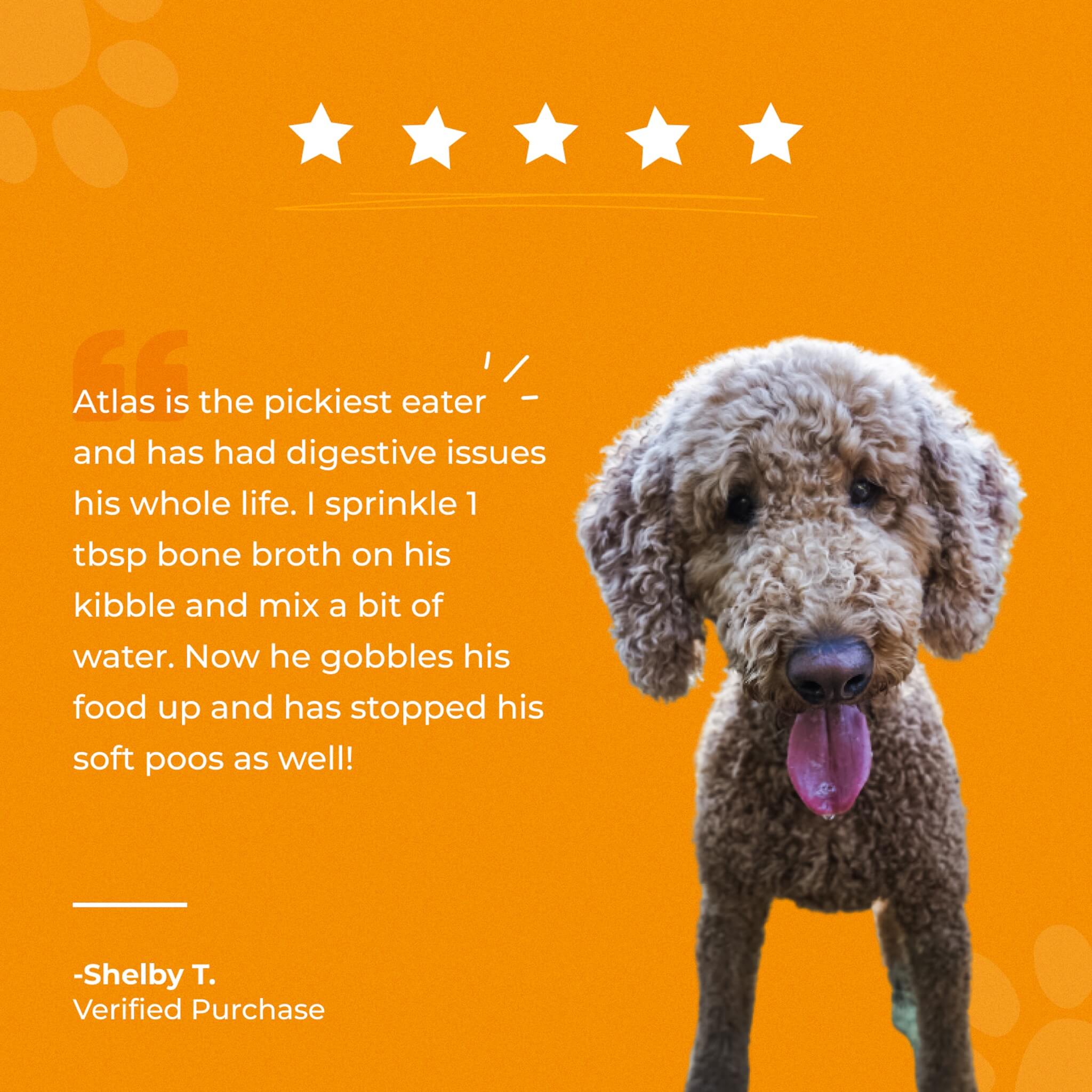 dog bone broth review