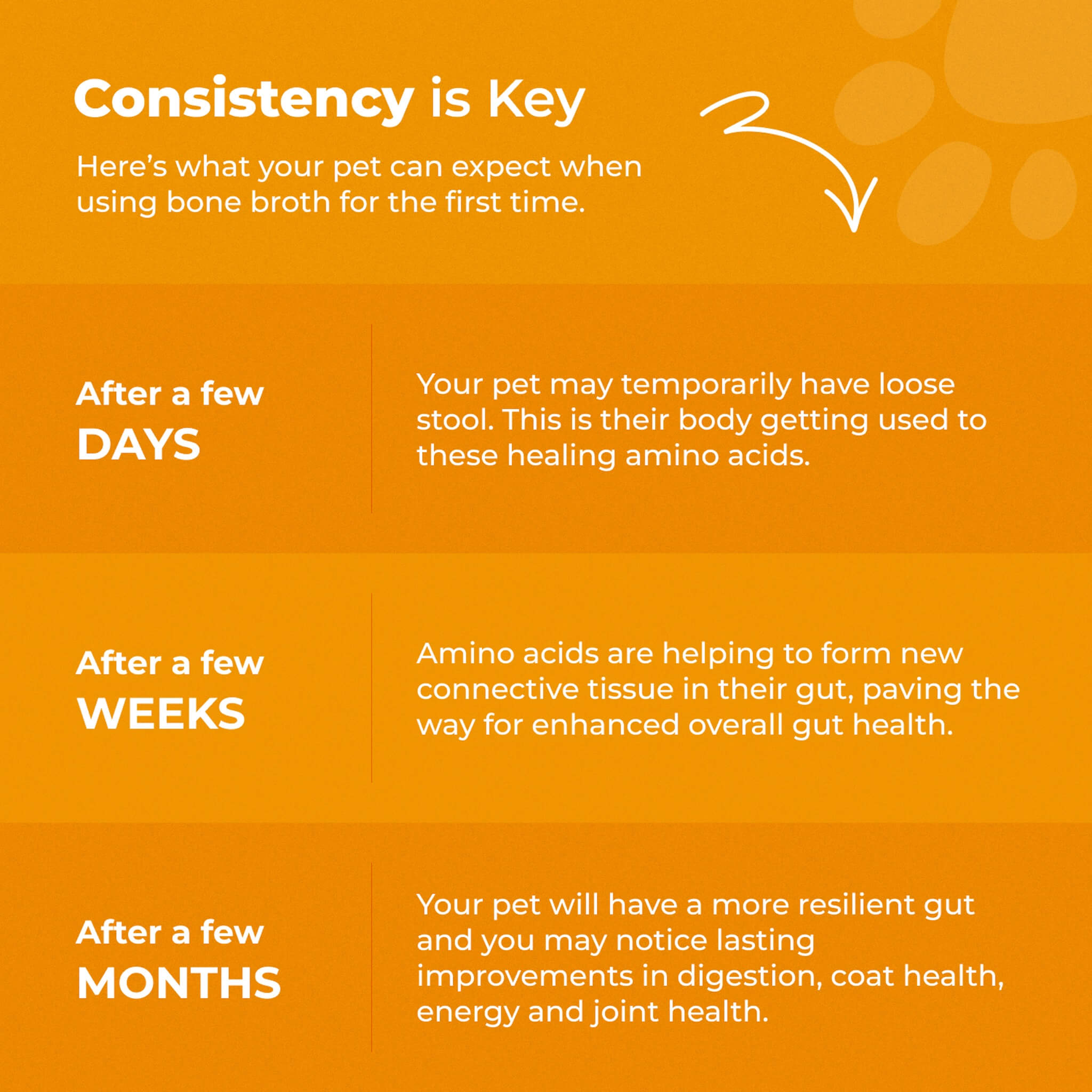chart showing what to expect when giving bone broth to a dog