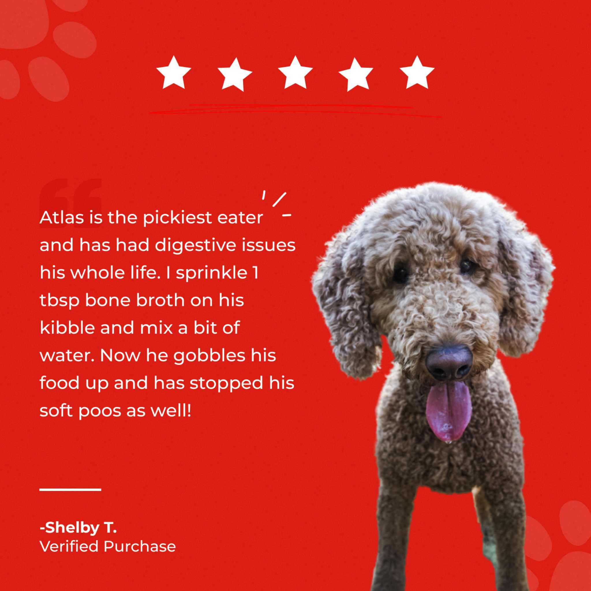 Bone Broth For Dogs & Cats