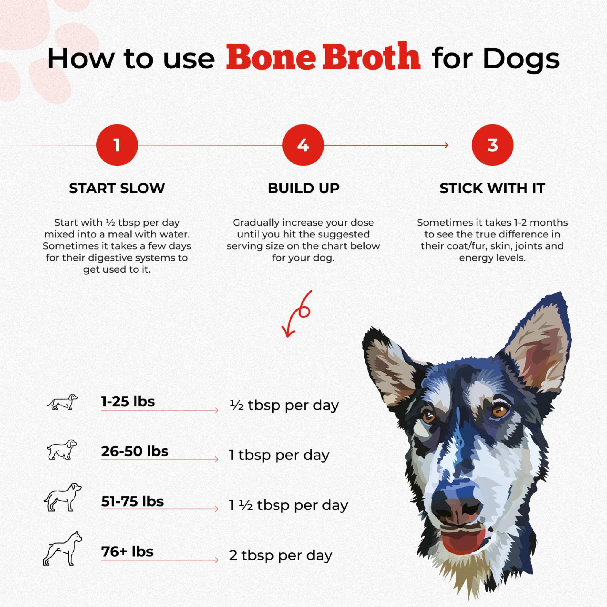 Bone Broth For Dogs & Cats