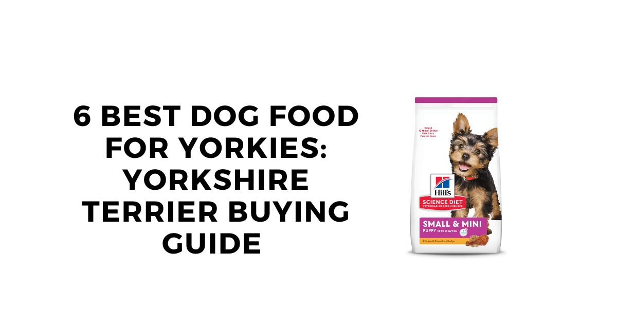 6 Best Dog Food for Yorkies: Yorkshire Terrier Buying Guide 