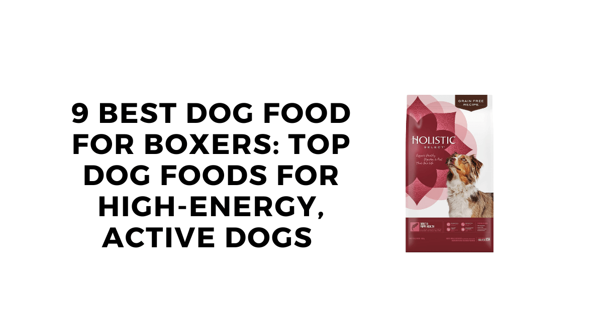9 Best Dog Food for Boxers: Top Dog Foods for High-Energy, Active Dogs 