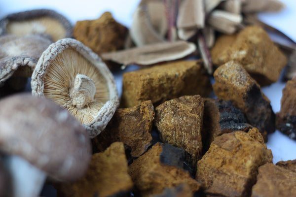 Healing Mushrooms: Uses, Benefits, Types and Dosage