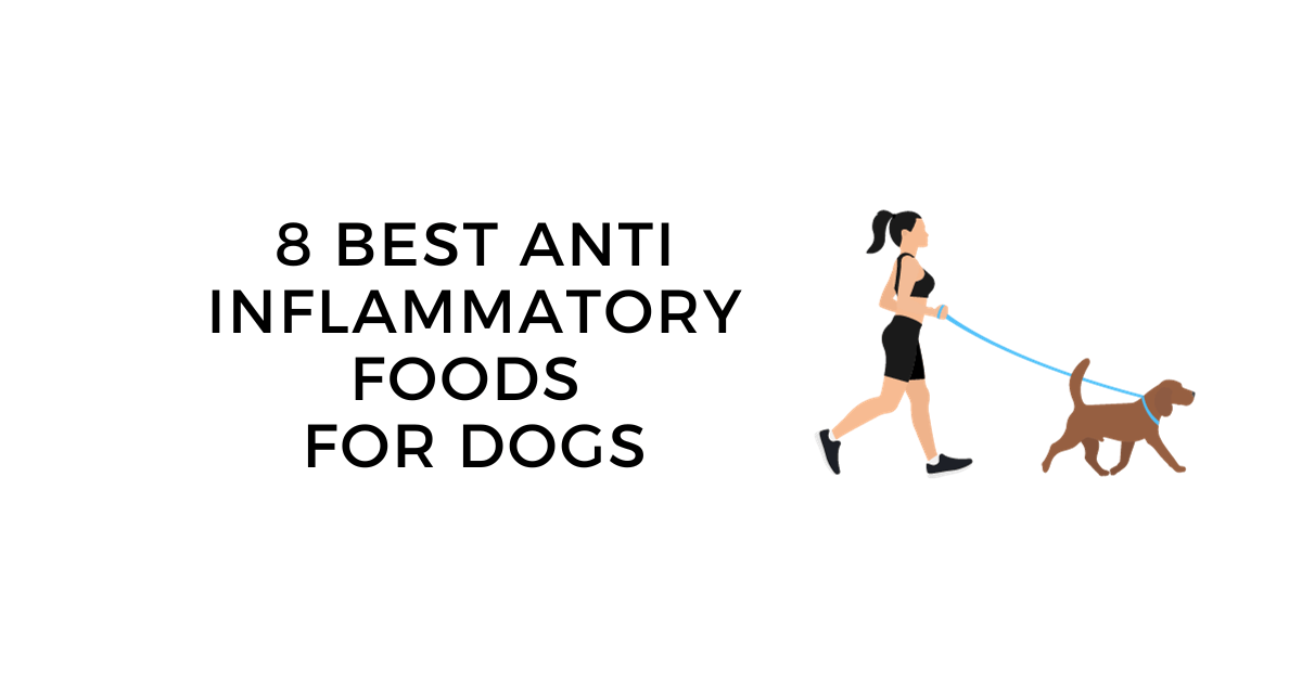 best anti inflammatory foods for dogs