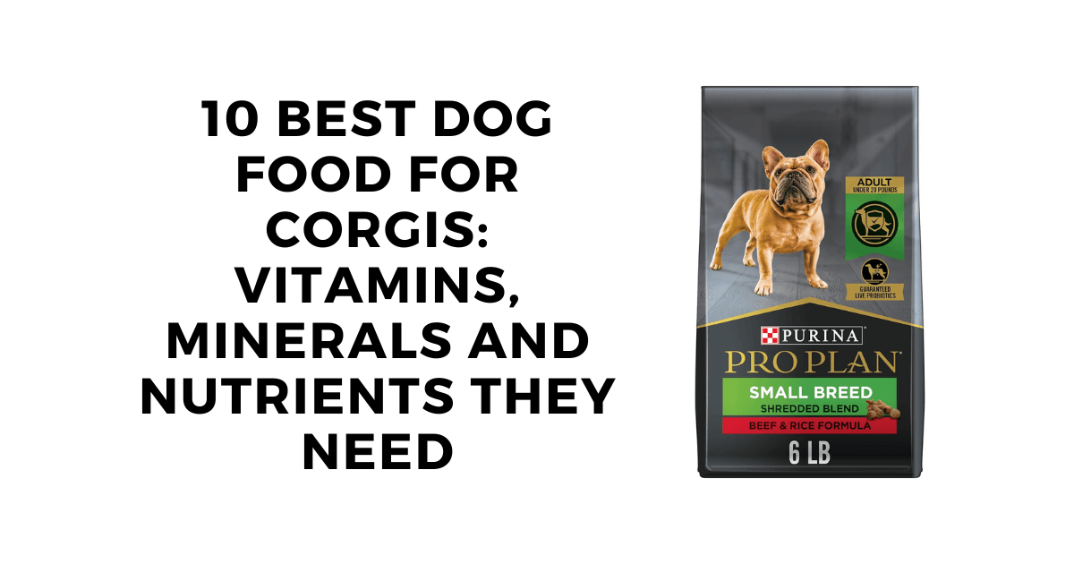 10 Best Dog Food for Corgis: Vitamins, Minerals and Nutrients They Need