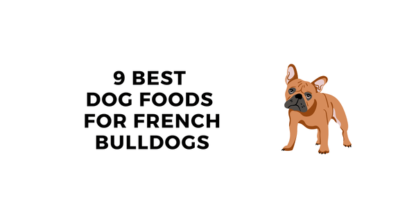 Best Dog Food for French Bulldogs 