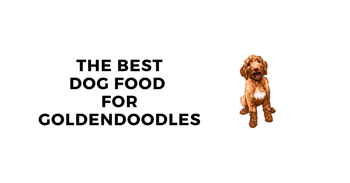  The Best Dog Food for Goldendoodles: A Complete Buyer's Guide