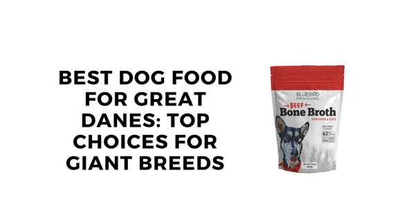  The Best Dog Food for Great Danes: Top Choices for Giant Breeds