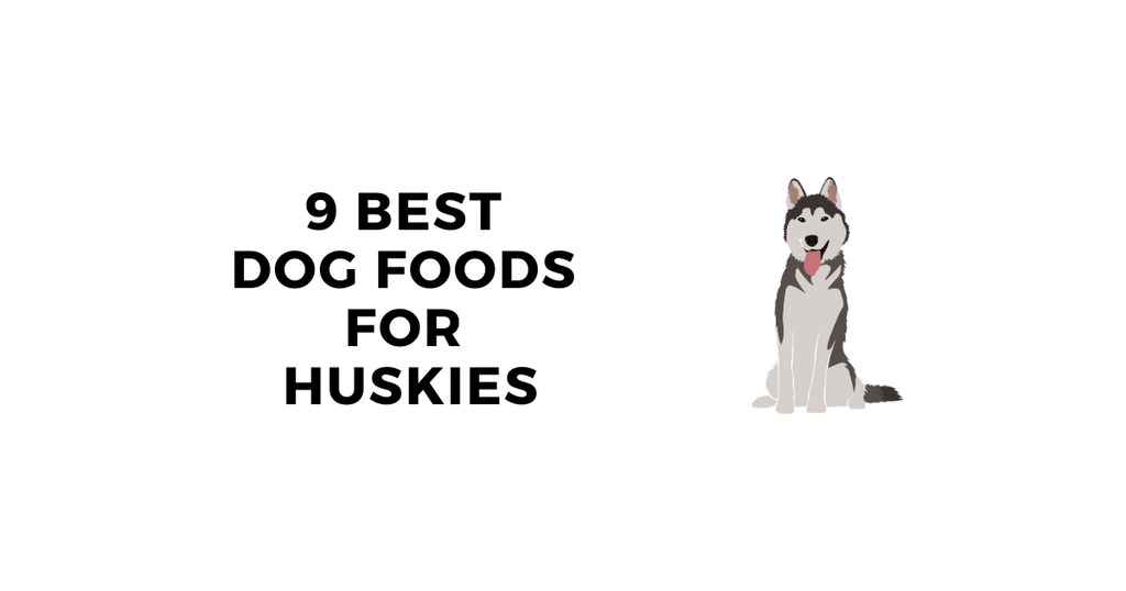 The Best Dog Food for Huskies Complete Buyer s Guide For