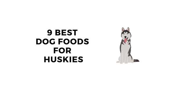 The Best Dog Food for Huskies