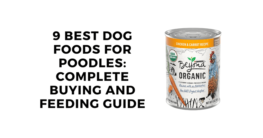 9 Best Dog Foods for Poodles Complete Buying and Feeding Guide