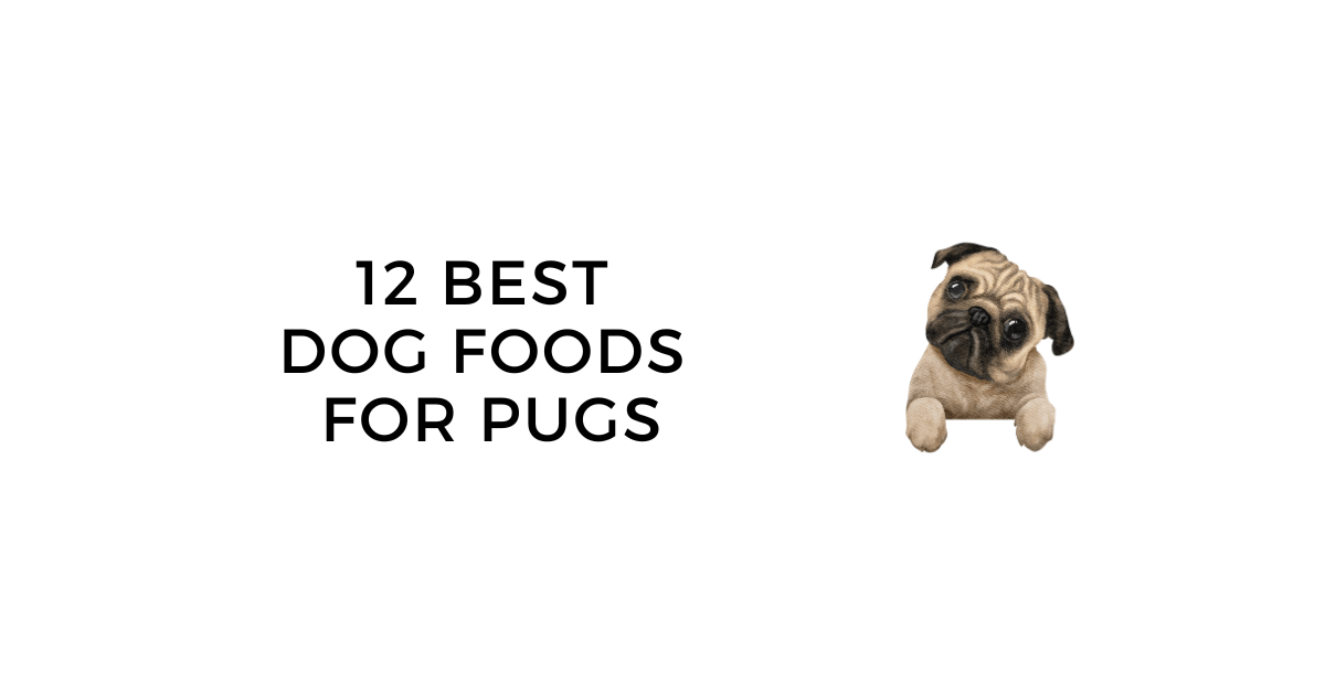 12 Best Dog Foods for Pugs: Comprehensive Buying Guide 