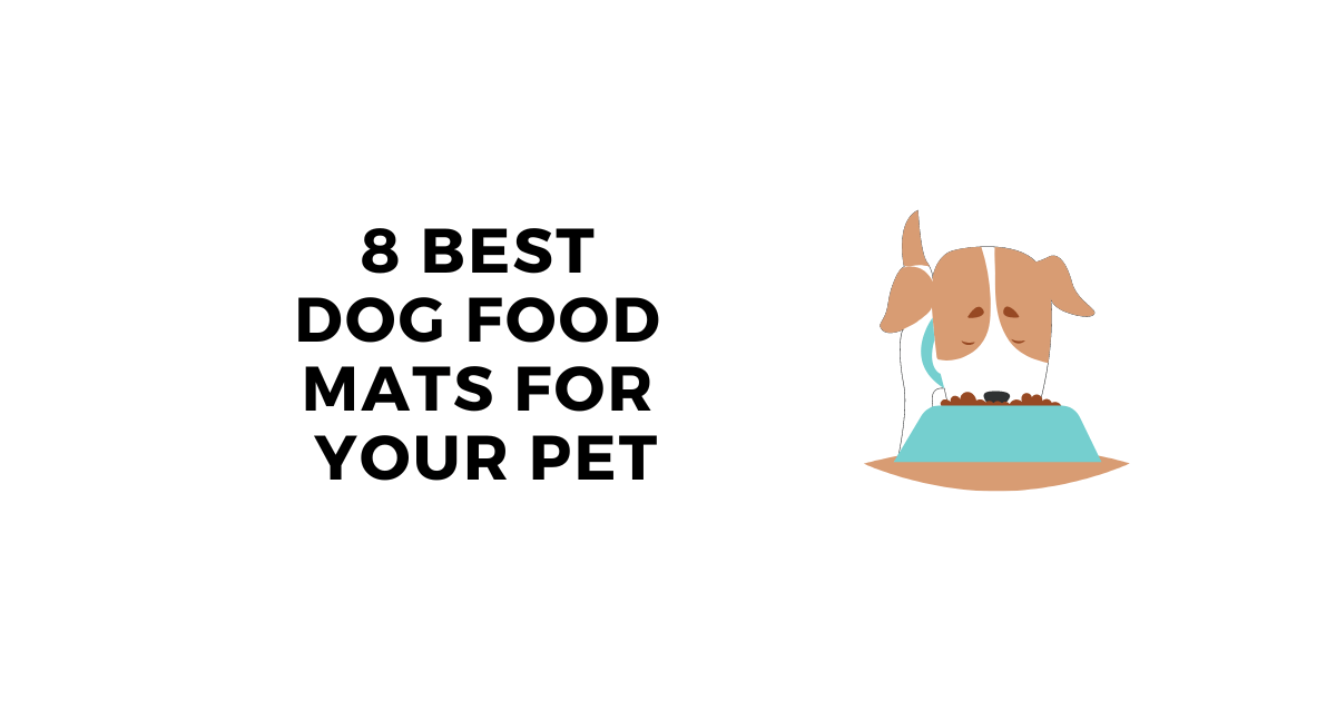 Best Dog Food Mat