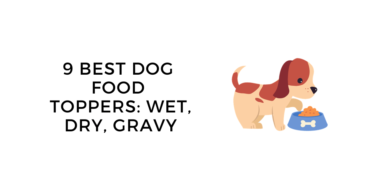 9 Best Dog Food Toppers (Dry, Powder, Liquid, Healthy Mixers, Gravy, Kibble)