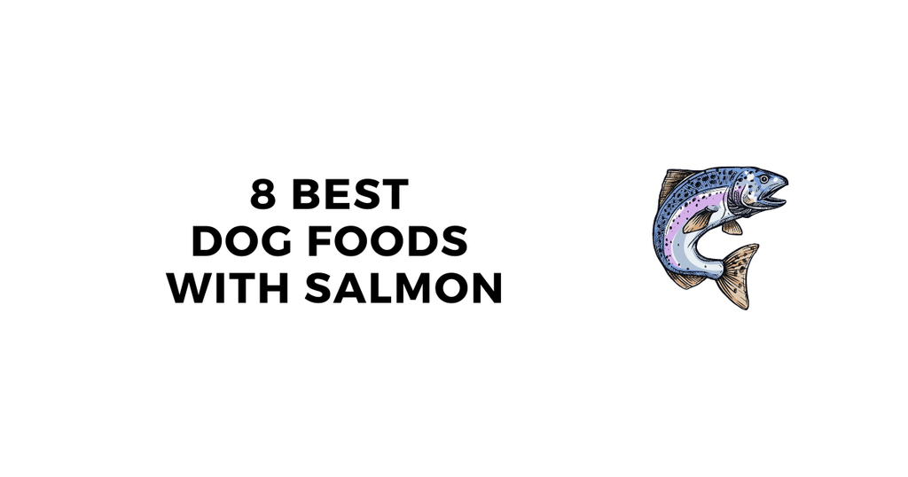 Best Dog Food with Salmon Which Salmon Dog Food is Best