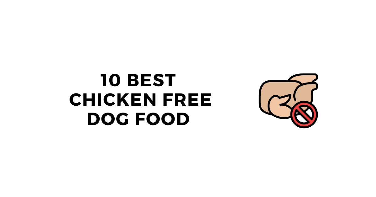 Best Dog Food Without Chicken