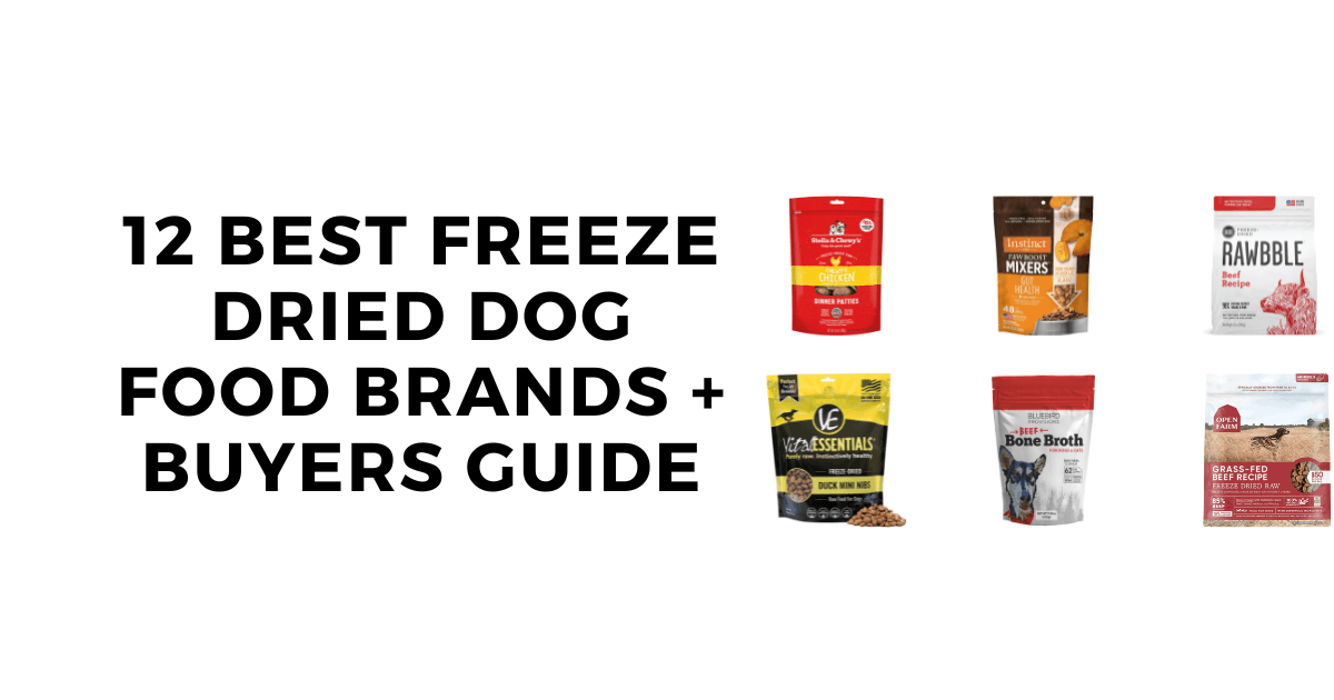 12 Best Freeze Dried Dog Foods for Your Dog in 2023 