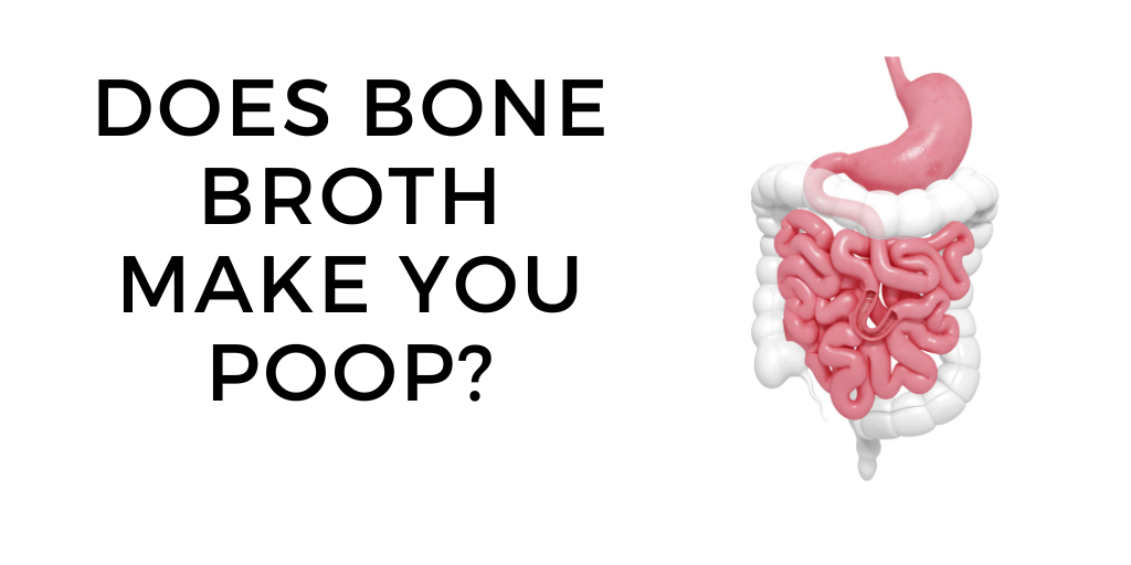 The Good Poop The Good Bone