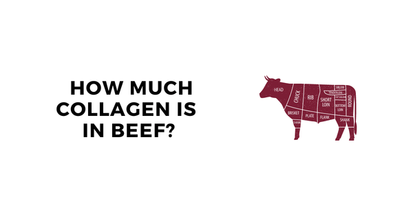 how much collagen is in beef
