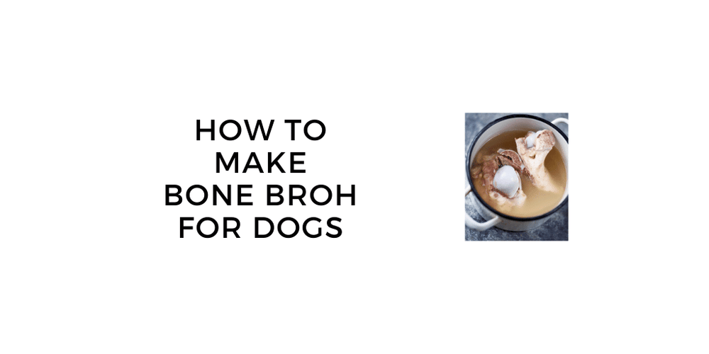 Bone Broth Recipe For Dogs High Protein Guide