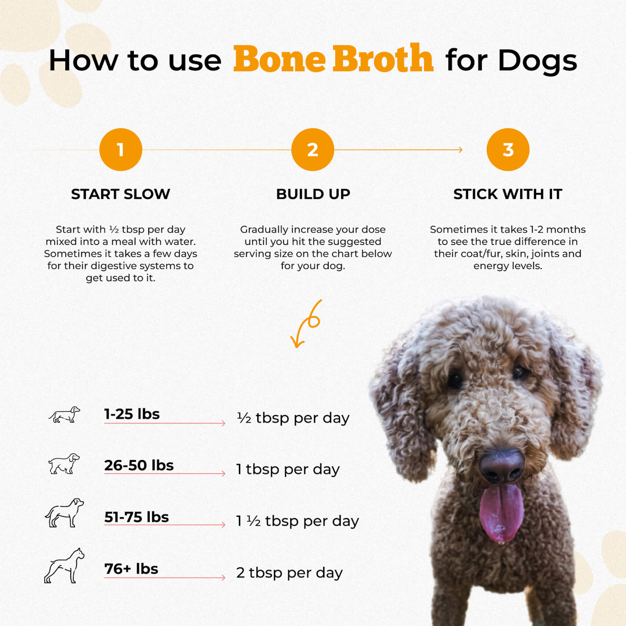 chart explaining how to use bone broth for dogs and cats