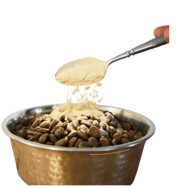 Bone broth